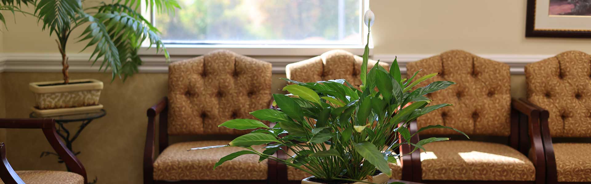 Calm and tranquil reception area.